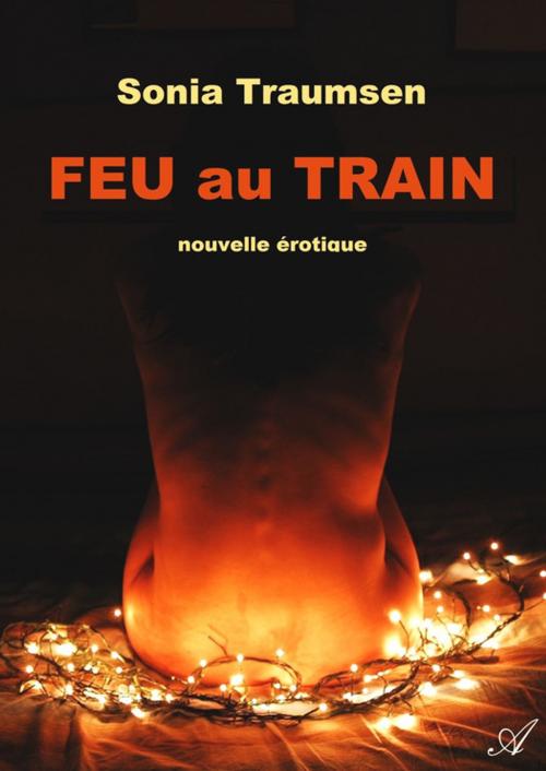 Cover of the book Feu au train by Sonia Traumsen, Atramenta