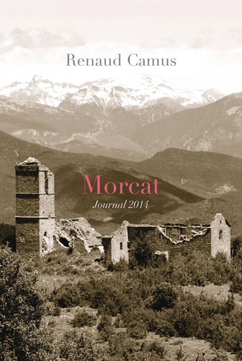Cover of the book Morcat. Journal 2014 by Renaud Camus, Renaud Camus