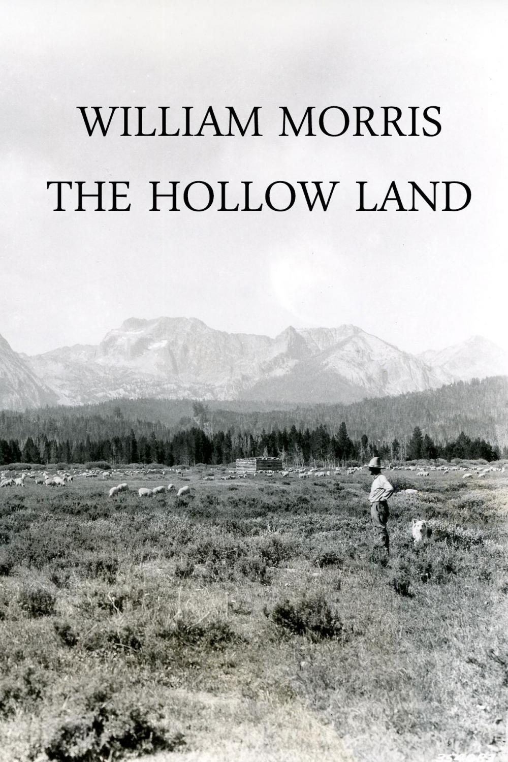 Big bigCover of The Hollow Land