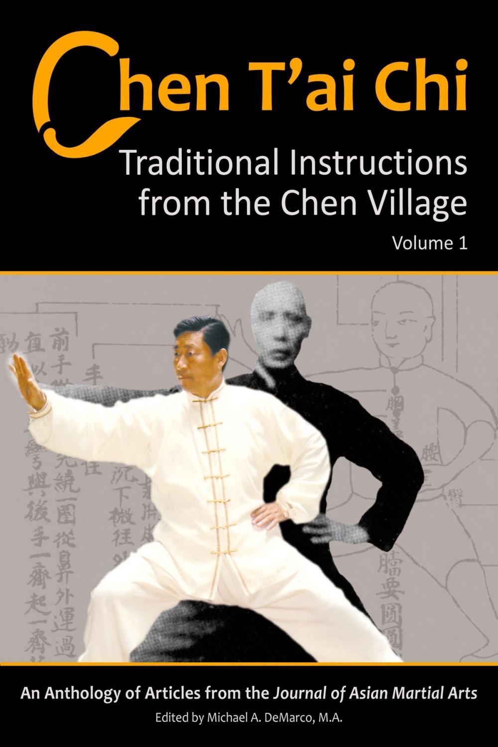 Big bigCover of Chen T’ai Chi: Traditional Instructions from the Chen Village, Vol. 1