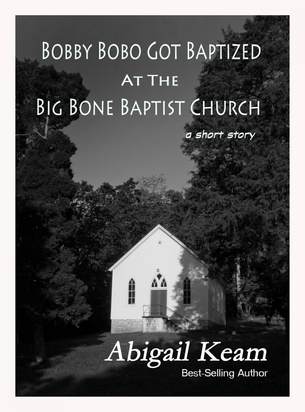 Big bigCover of Bobby Bobo Got Baptized At The Big Bone Baptist Church (A Short Story)