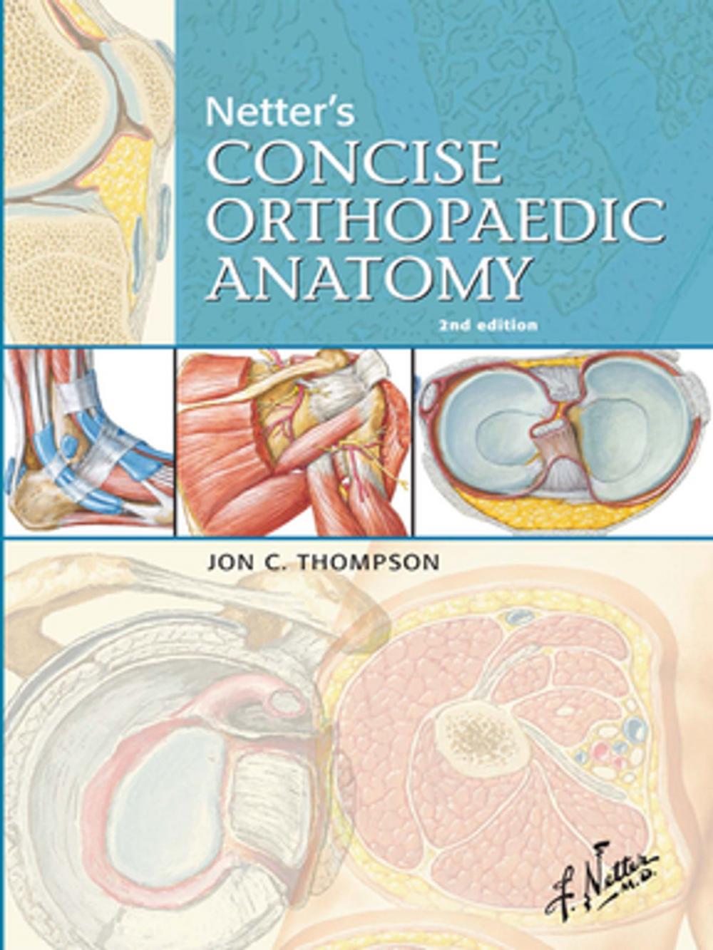 Big bigCover of Netter's Concise Orthopaedic Anatomy E-Book