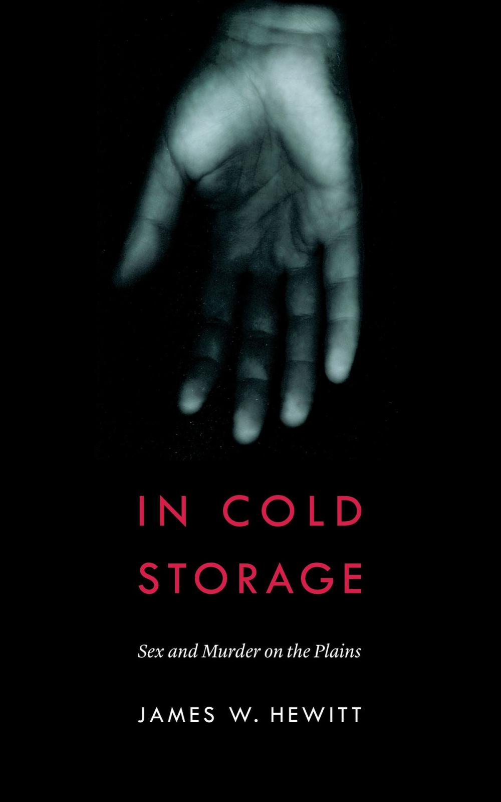 Big bigCover of In Cold Storage