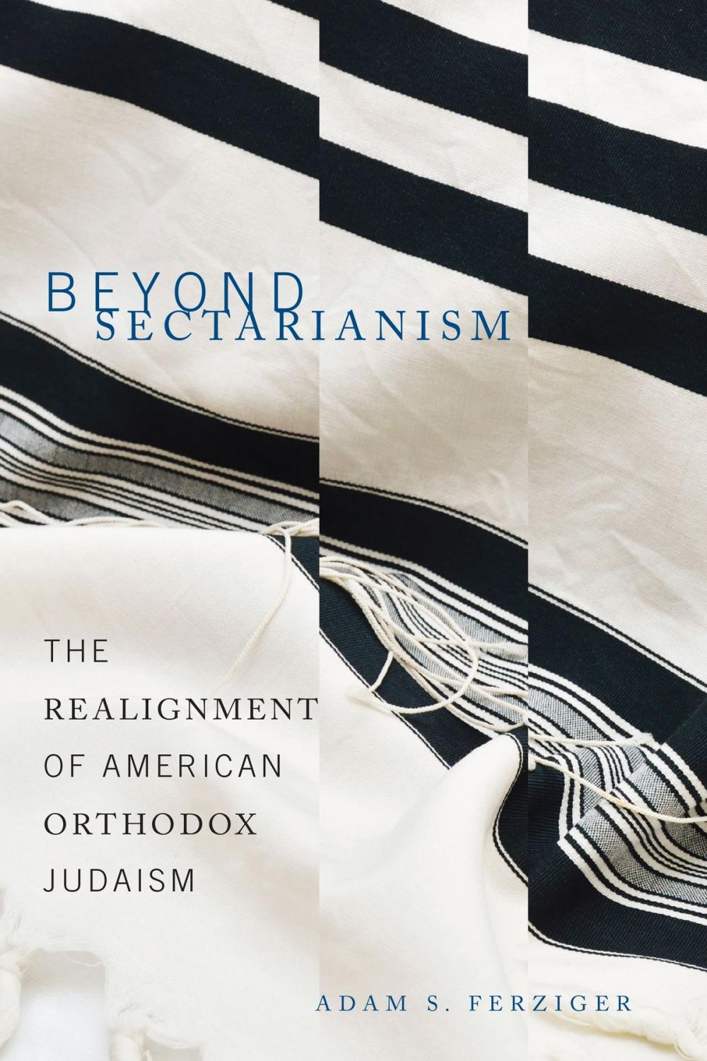 Big bigCover of Beyond Sectarianism