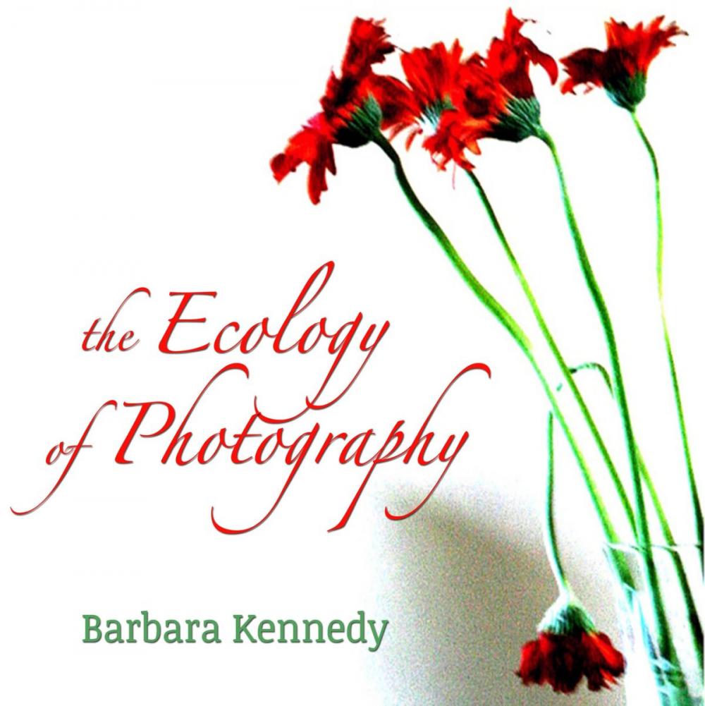 Big bigCover of The Ecology of Photography