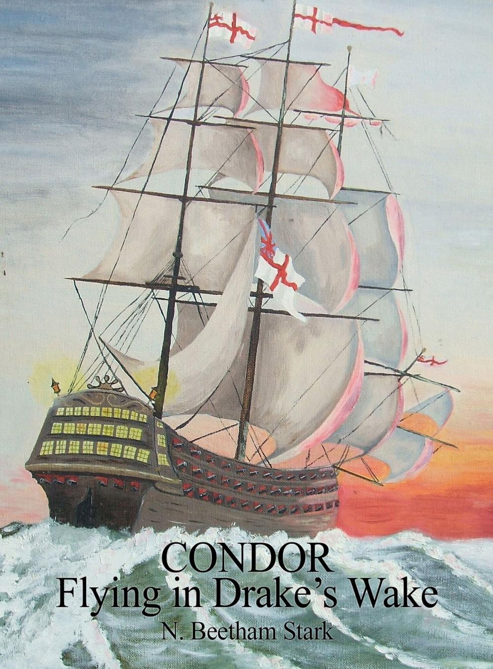 Big bigCover of Condor: Flying in Drake's Wake
