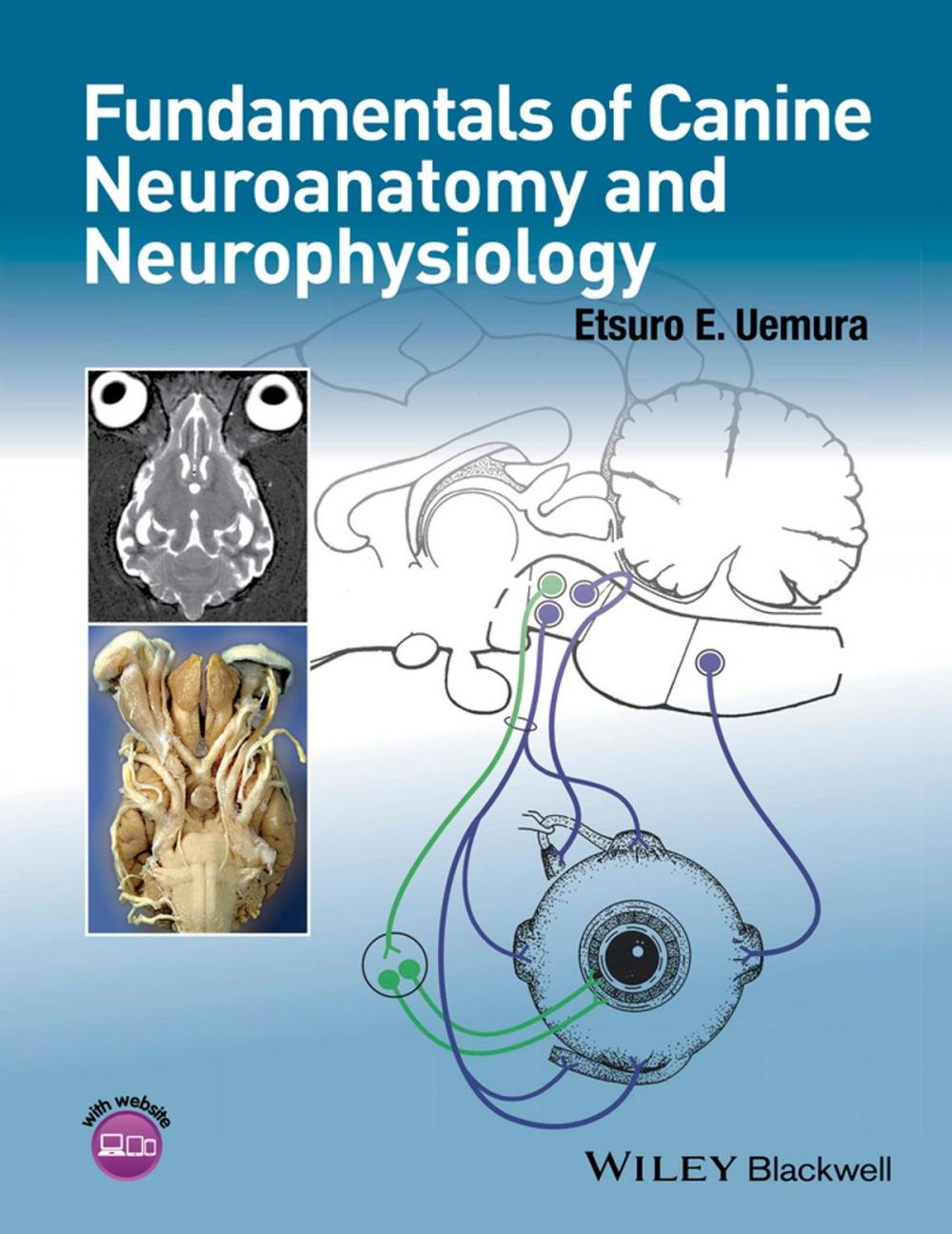 Big bigCover of Fundamentals of Canine Neuroanatomy and Neurophysiology