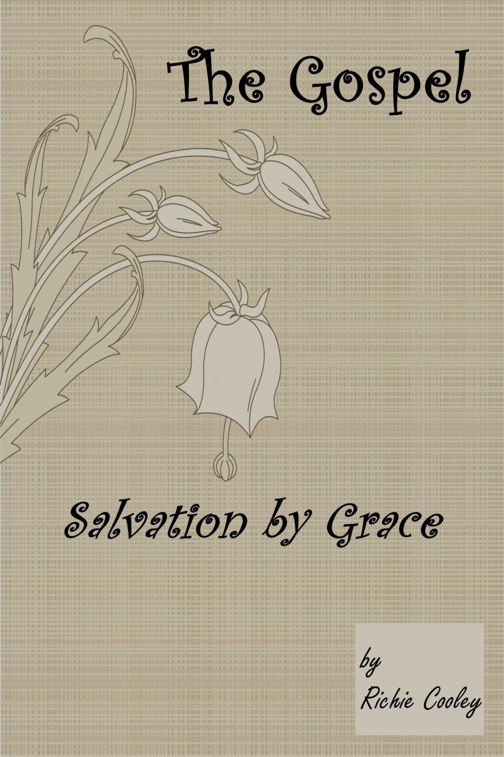 Big bigCover of The Gospel Salvation by Grace