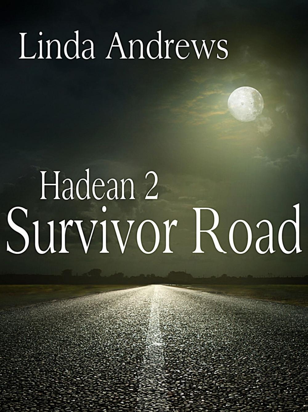 Big bigCover of Hadean 2: Survivor Road