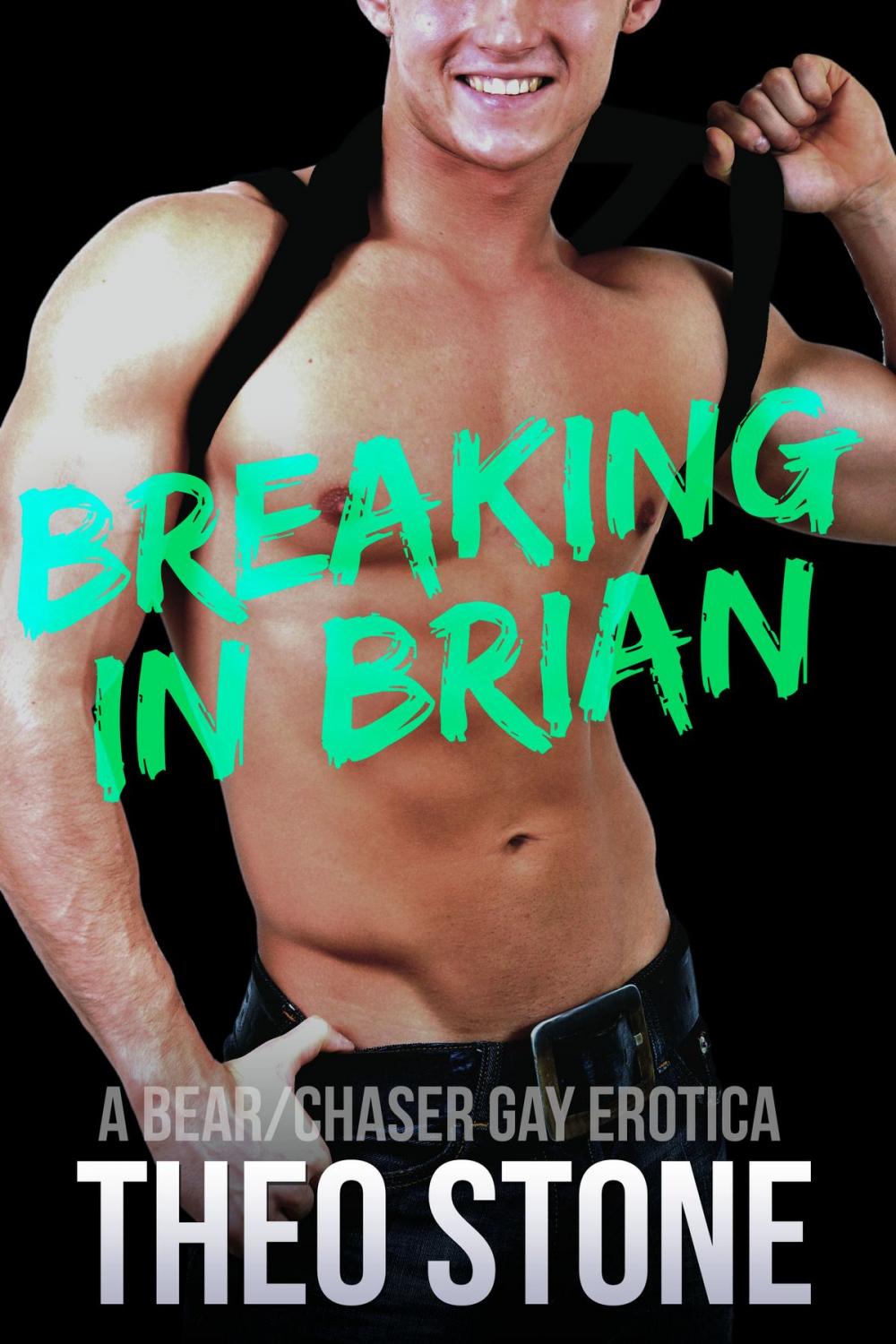 Big bigCover of Breaking in Brian