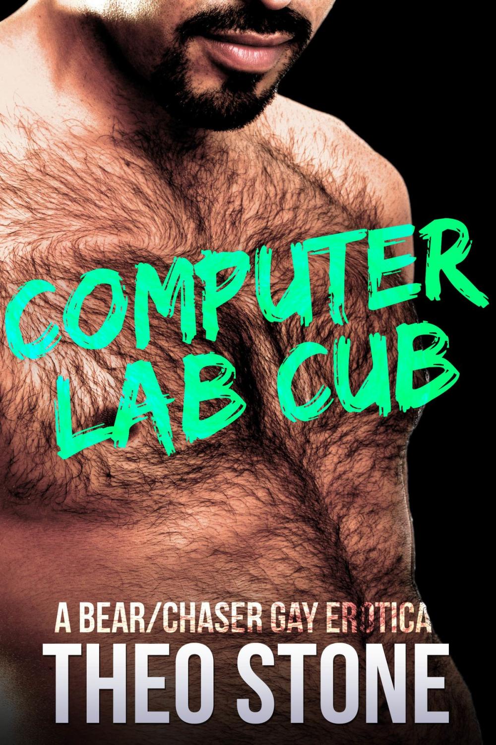Big bigCover of Computer Lab Cub