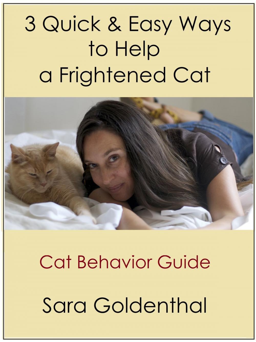 Big bigCover of 3 Quick & Easy Ways to Help a Frightened Cat: A Cat Behavior Guide