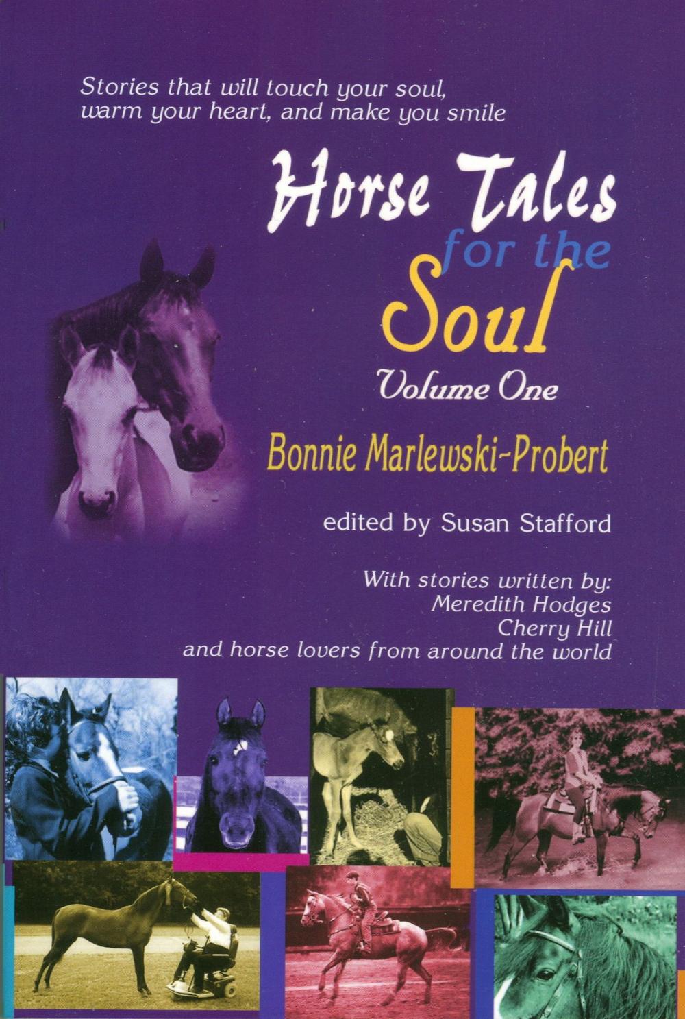 Big bigCover of Horse Tales for the Soul, Volume 1