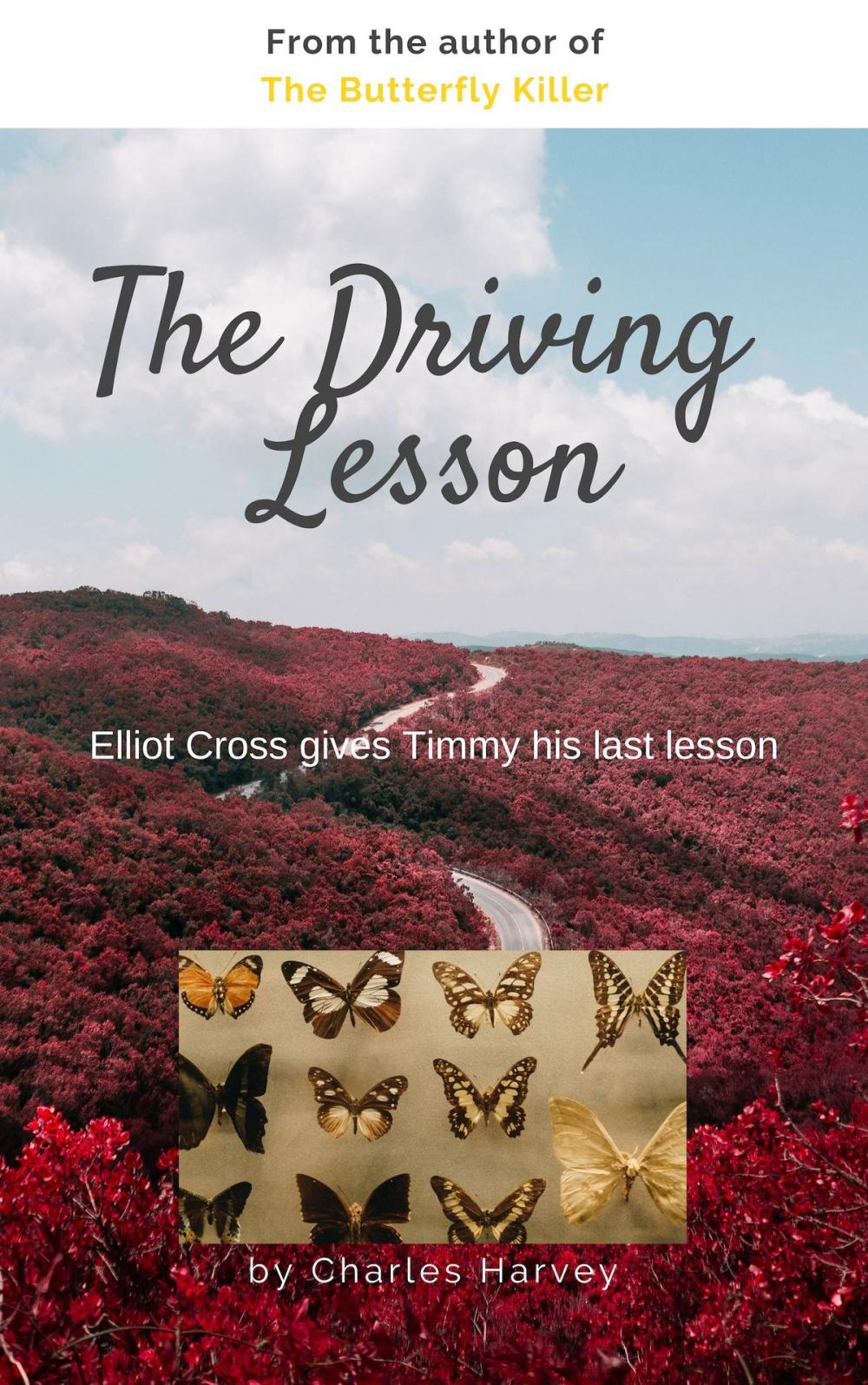 Big bigCover of The Driving Lesson