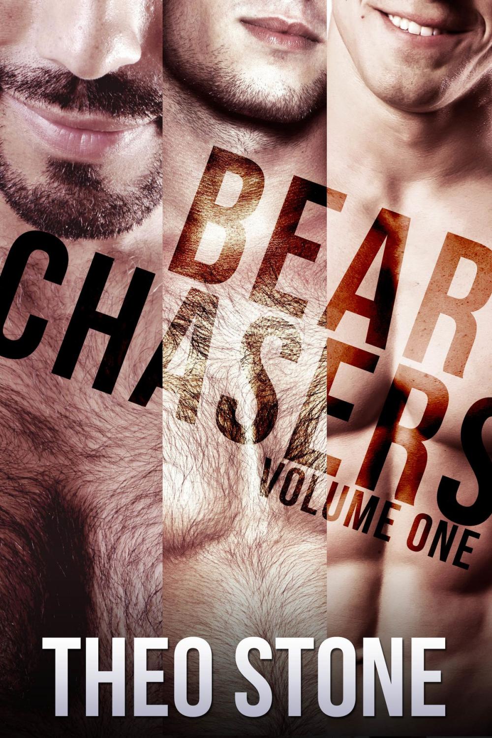 Big bigCover of Bear Chasers
