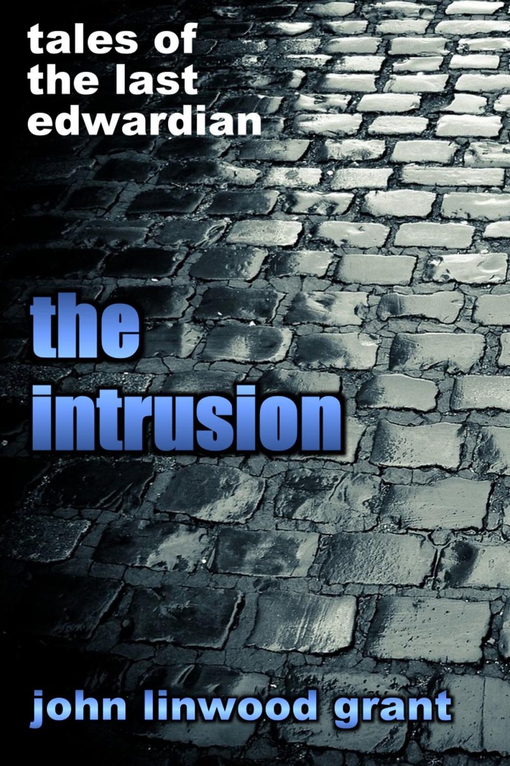 Big bigCover of The Intrusion