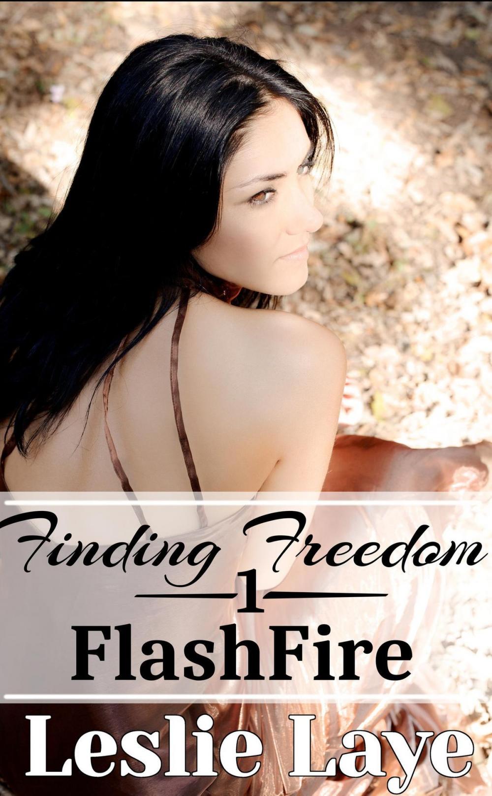 Big bigCover of Finding Freedom 1: FlashFire