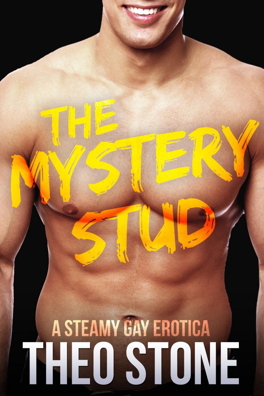 Big bigCover of The Mystery Stud