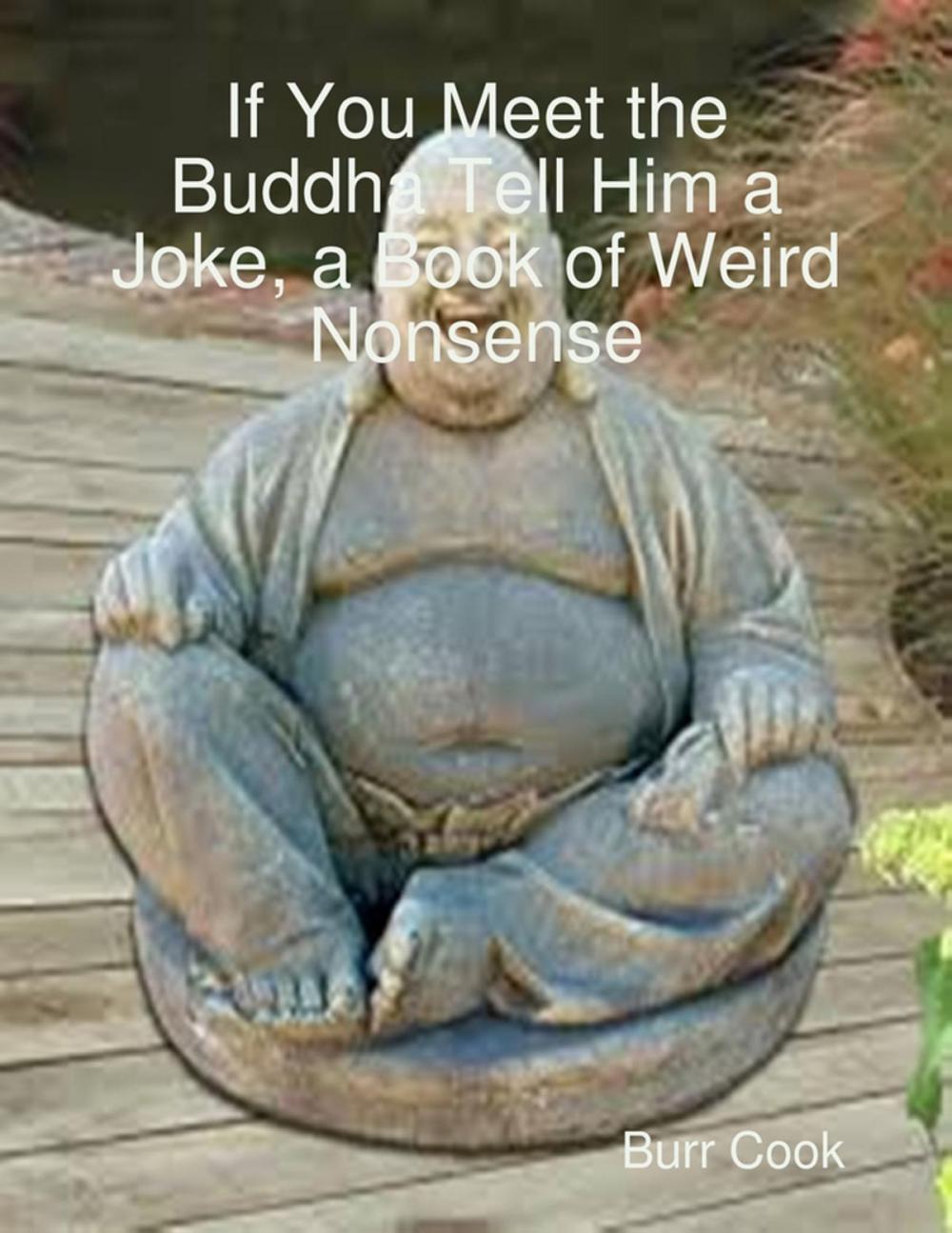 Big bigCover of If You Meet the Buddha Tell Him a Joke, a Book of Weird Nonsense