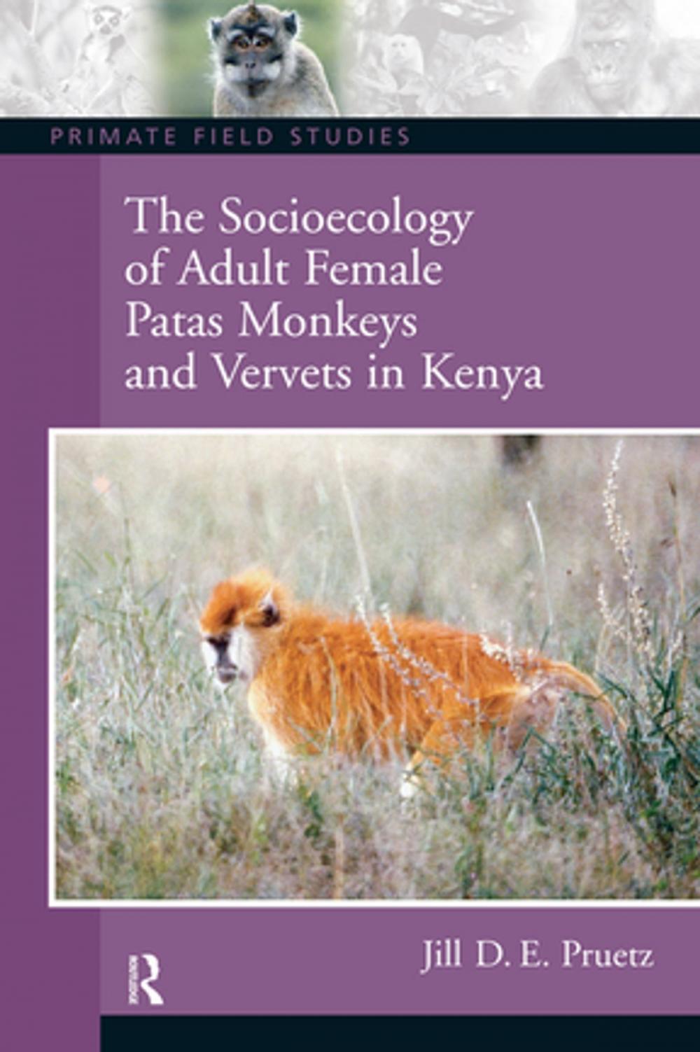 Big bigCover of The Socioecology of Adult Female Patas Monkeys and Vervets in Kenya