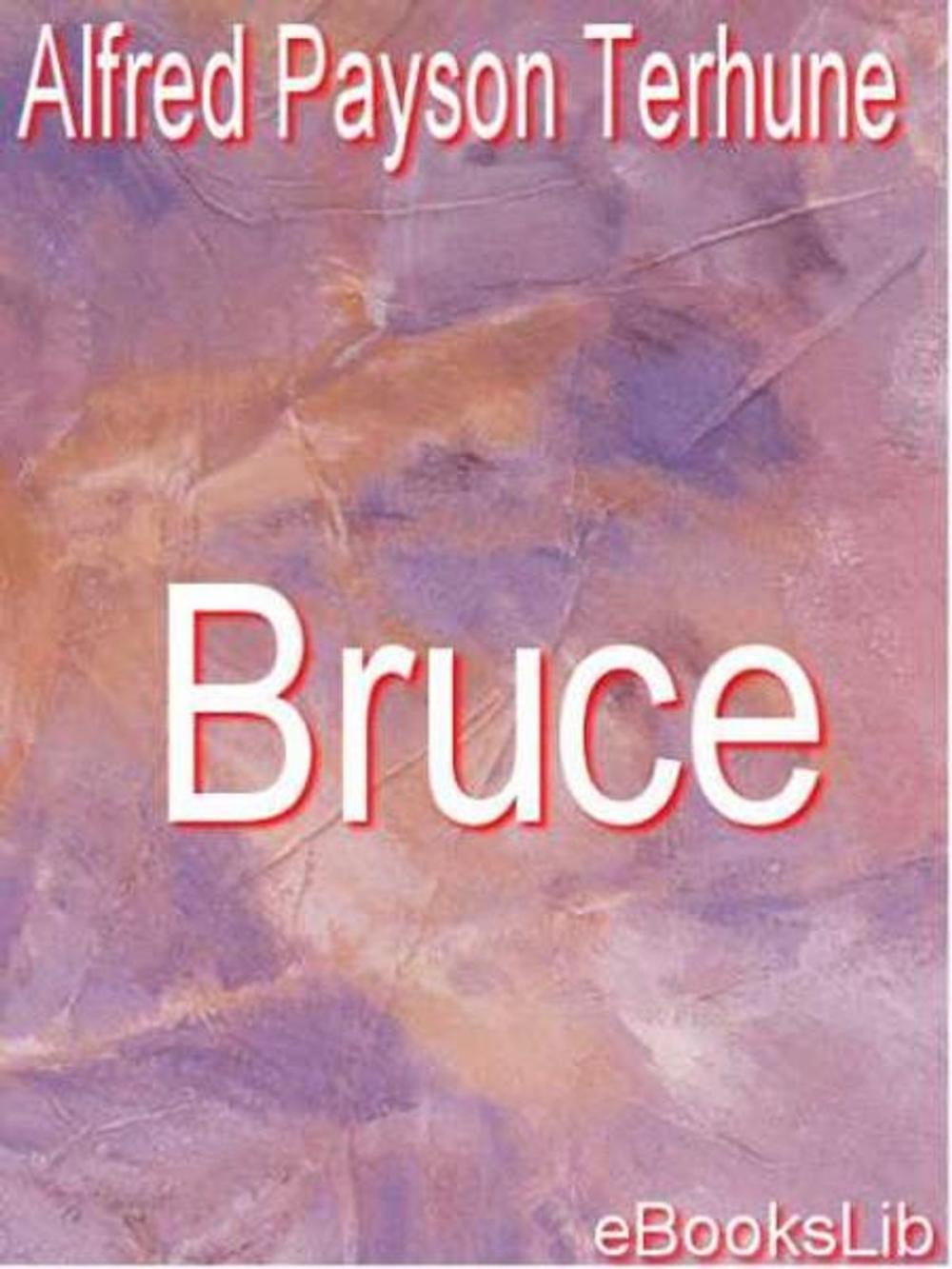 Big bigCover of Bruce