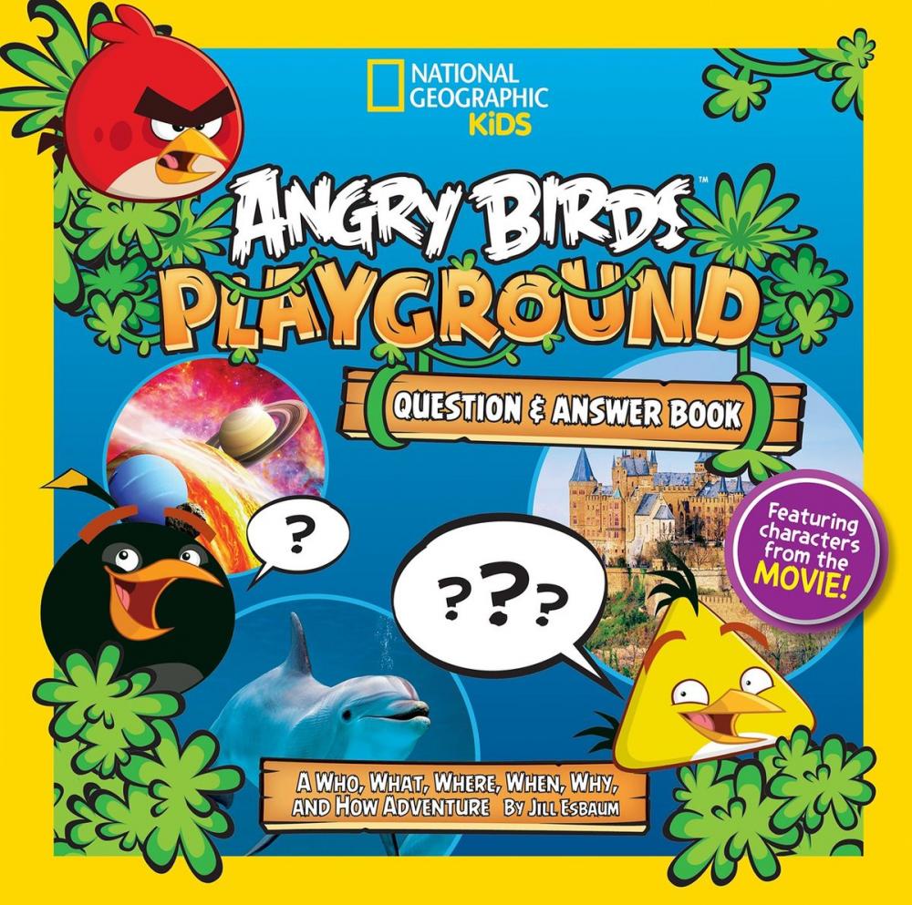 Big bigCover of Angry Birds Playground: Question and Answer Book