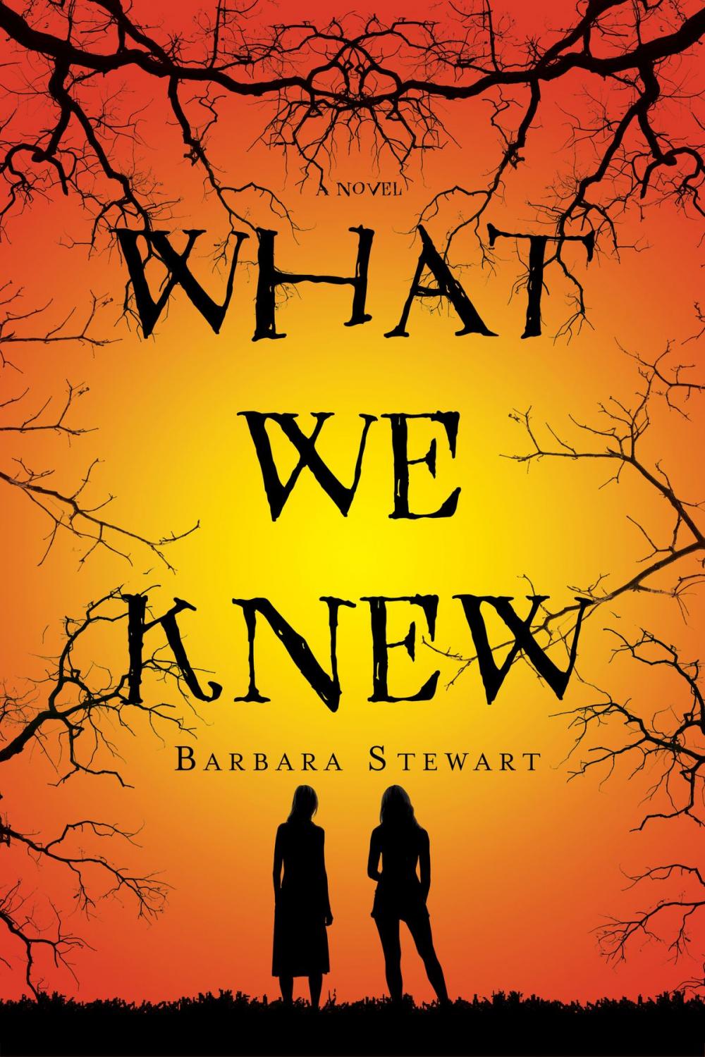 Big bigCover of What We Knew