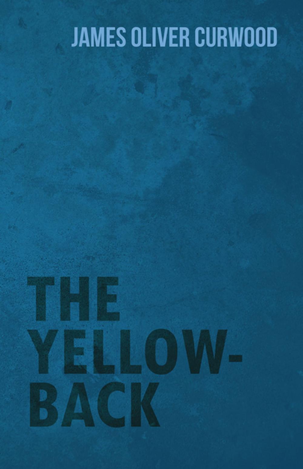 Big bigCover of The Yellow-Back