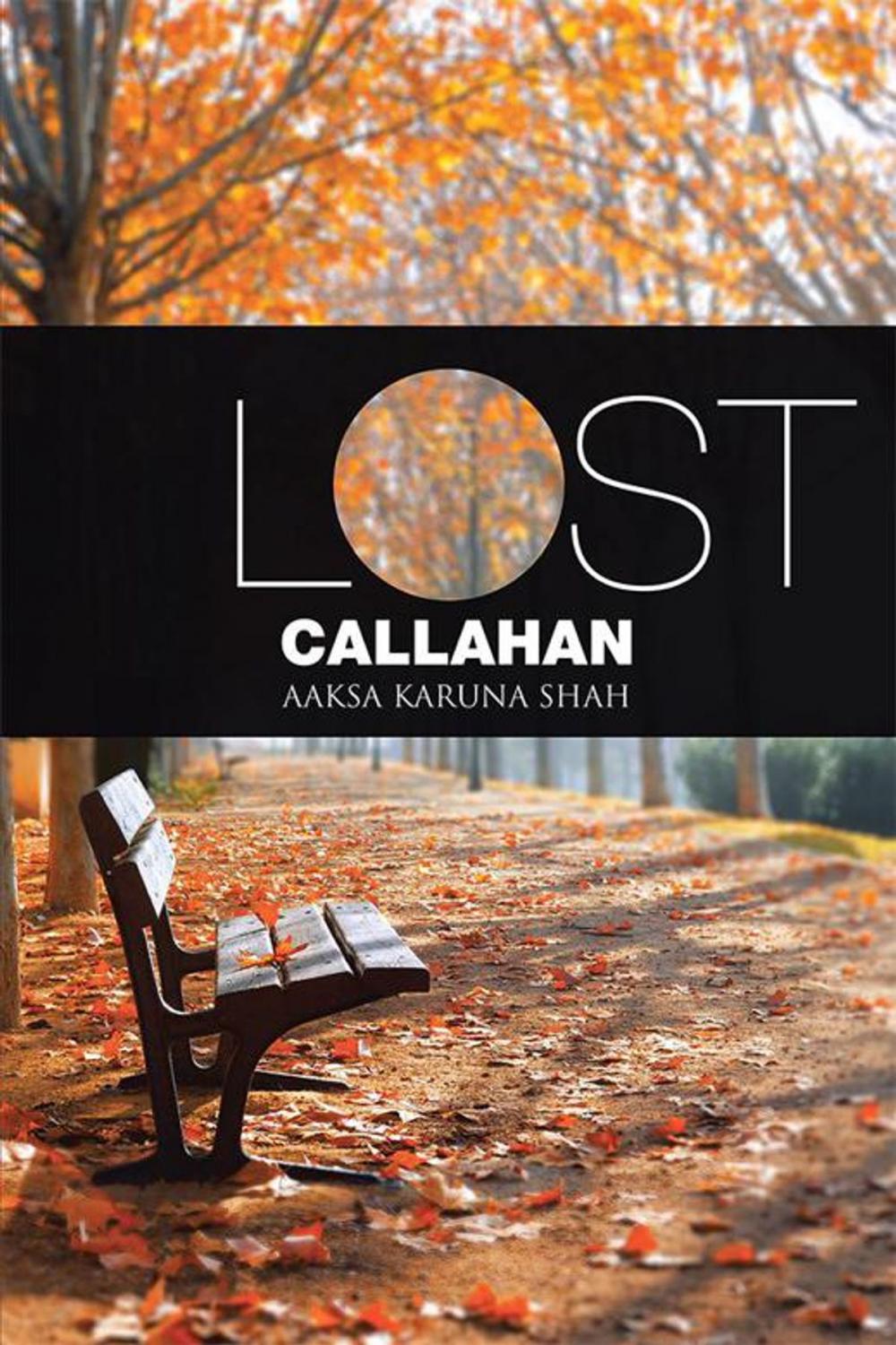 Big bigCover of Lost Callahan