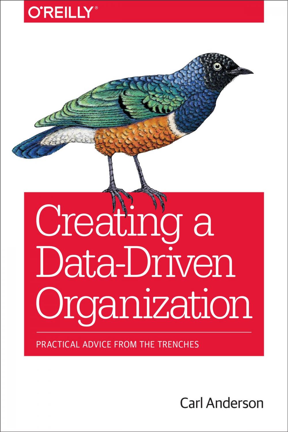 Big bigCover of Creating a Data-Driven Organization