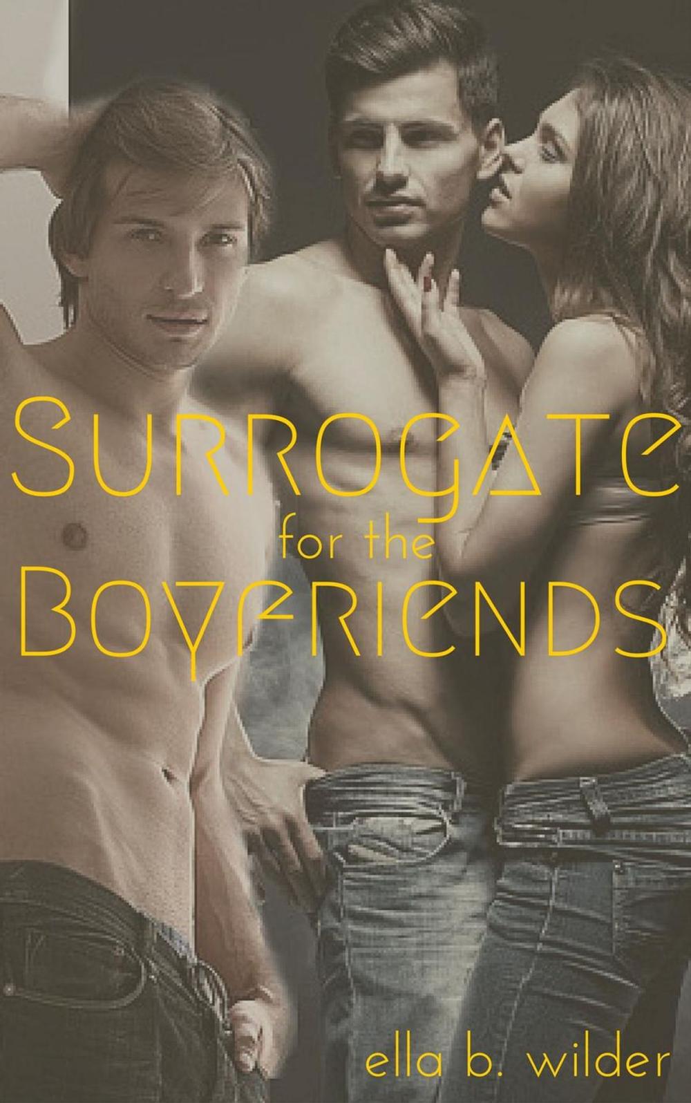 Big bigCover of A Surrogate for the Boyfriends
