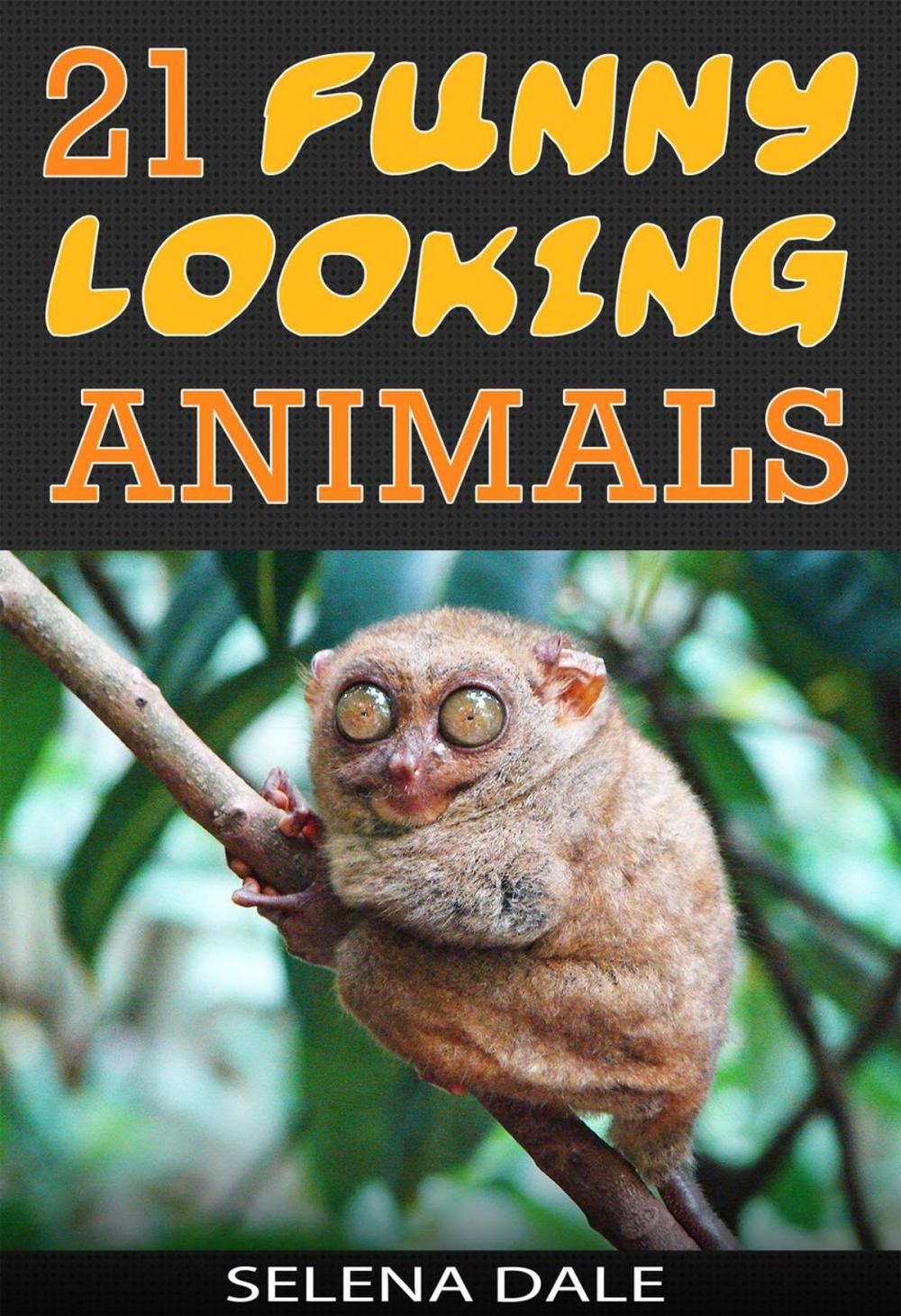Big bigCover of 21 Funny Looking Animals