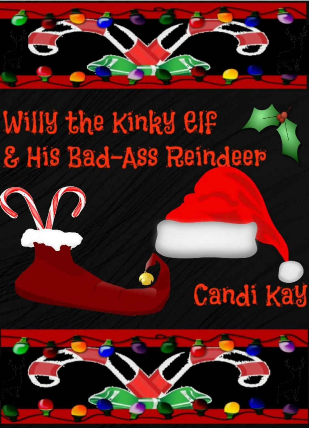 Big bigCover of Willy the Kinky Elf & His Bad-Ass Reindeer