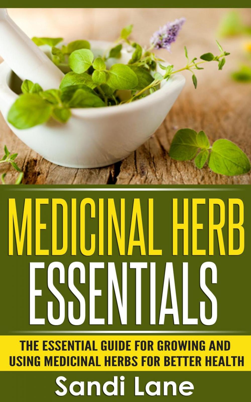 Big bigCover of Medicinal Herb Essentials