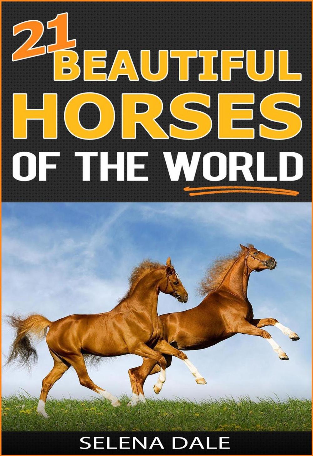 Big bigCover of 21 Beautiful Horses Of The World