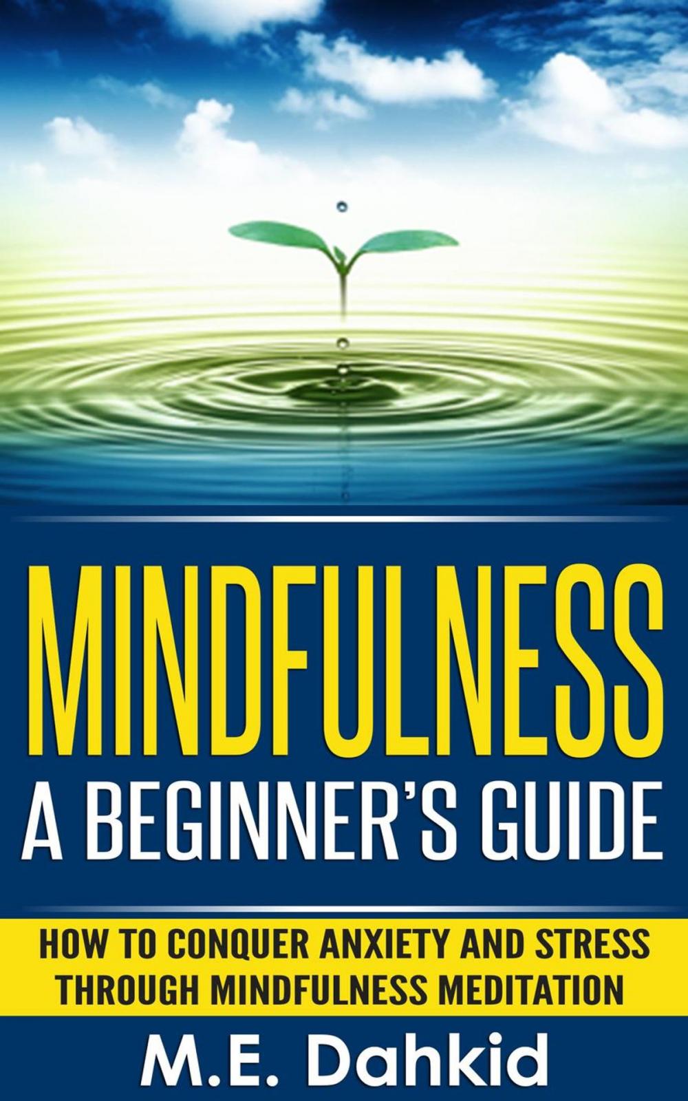 Big bigCover of Mindfulness: A Beginner's Guide