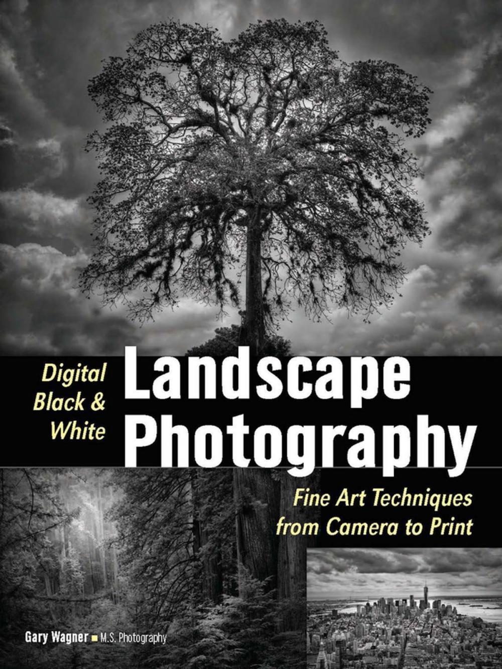 Big bigCover of Digital Black & White Landscape Photography