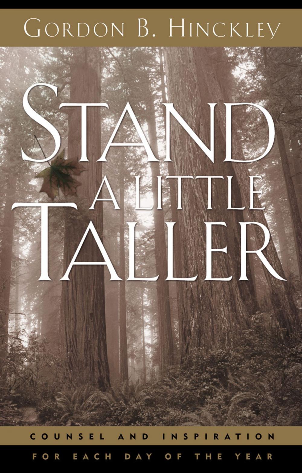 Big bigCover of Stand a Little Taller