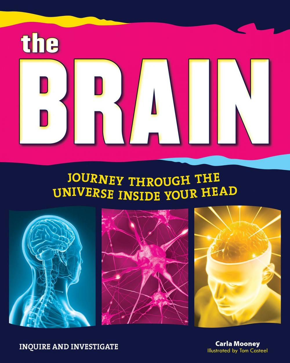 Big bigCover of The Brain