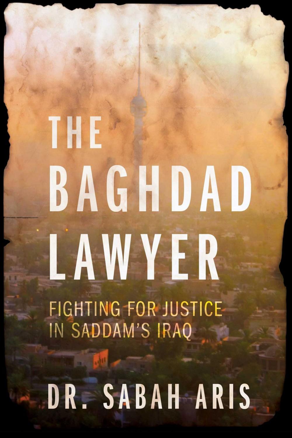 Big bigCover of The Baghdad Lawyer