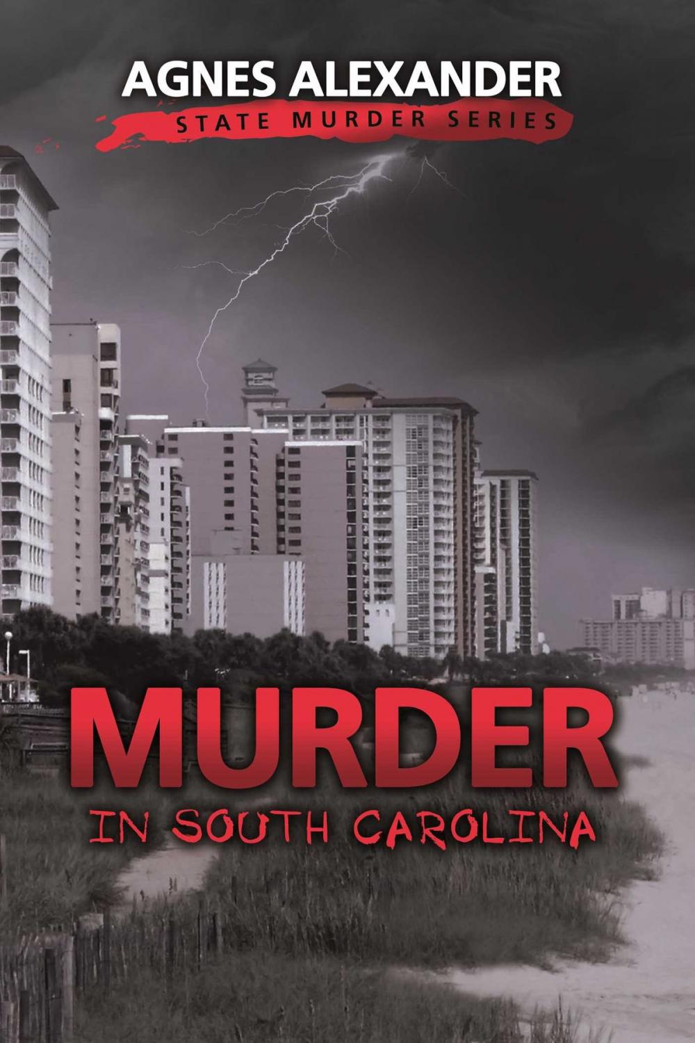 Big bigCover of Murder in South Carolina