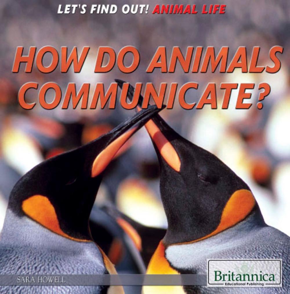 Big bigCover of How Do Animals Communicate?