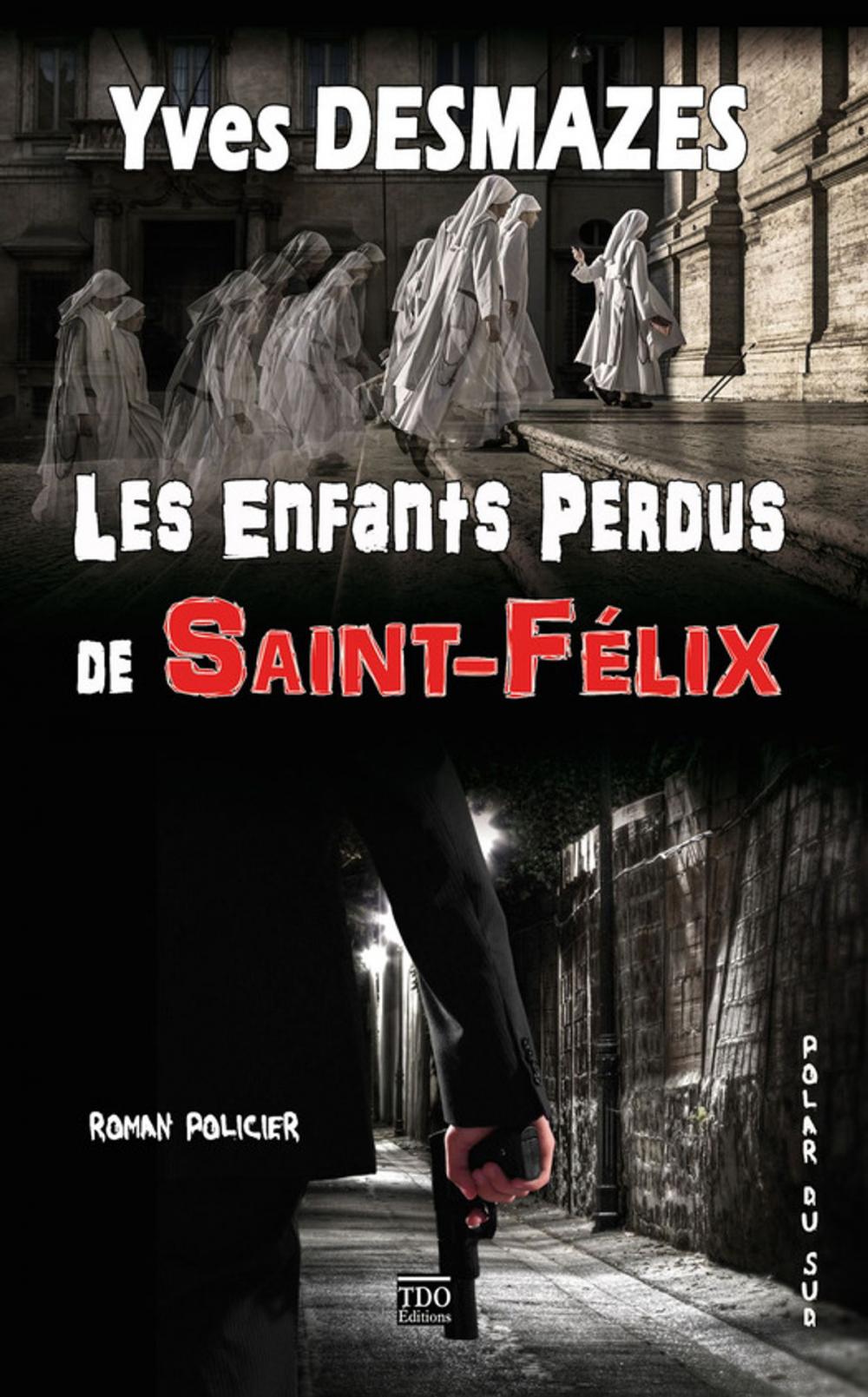 Big bigCover of Les Enfants Perdus de Saint-Félix