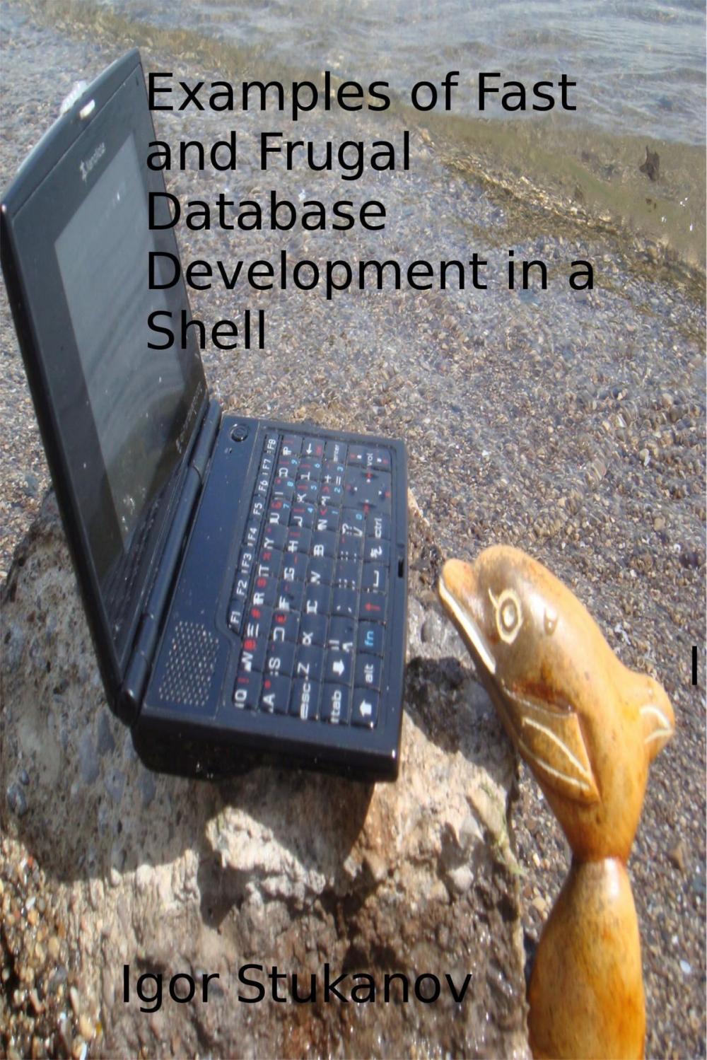 Big bigCover of Examples of Fast and Frugal Database Development in a Shell