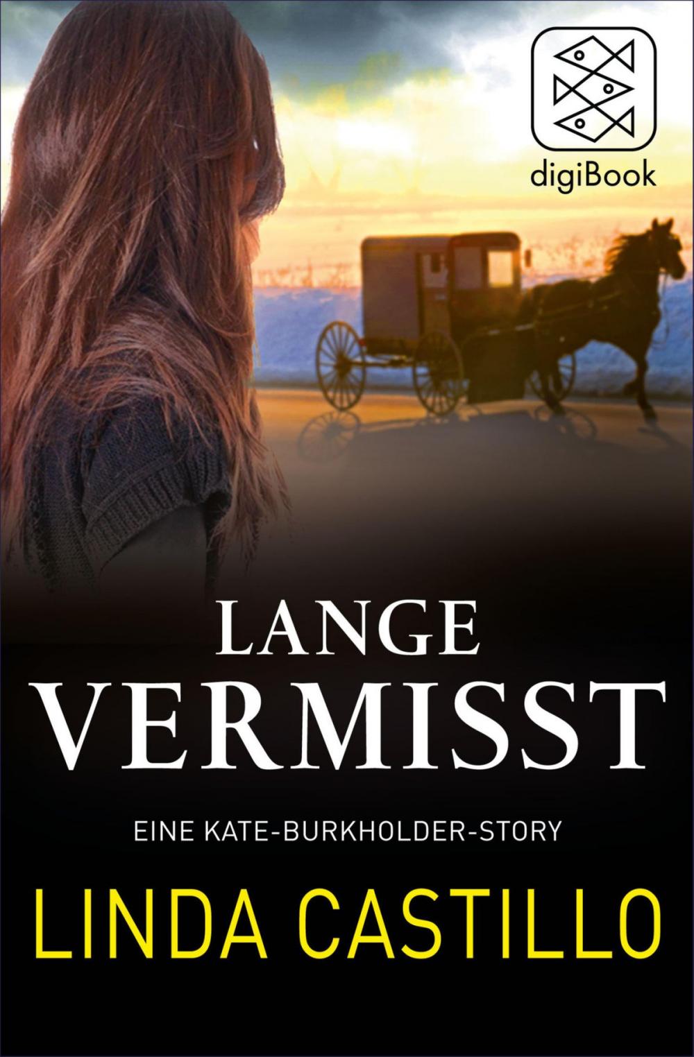 Big bigCover of Lange Vermisst - Eine Kate-Burkholder-Story
