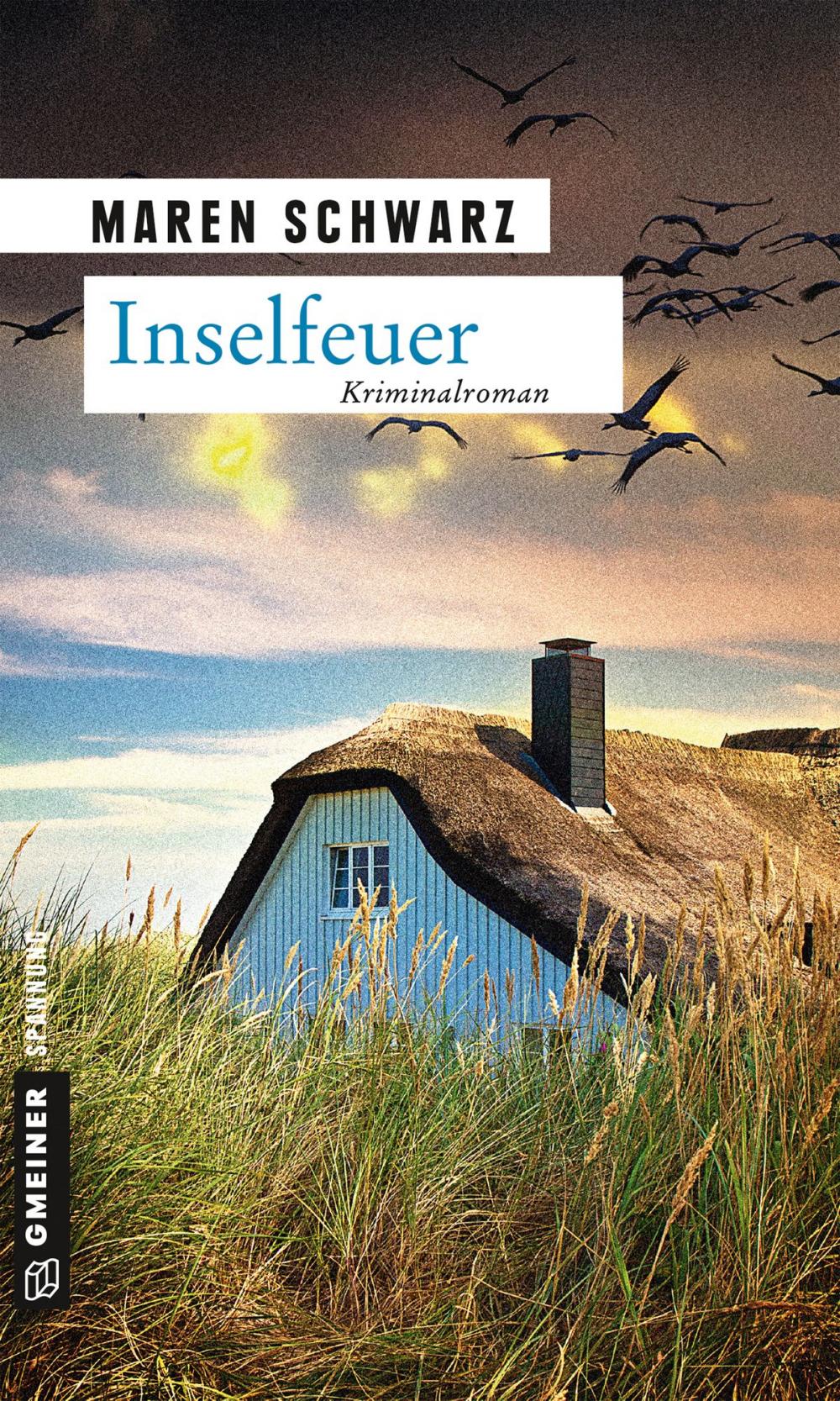 Big bigCover of Inselfeuer