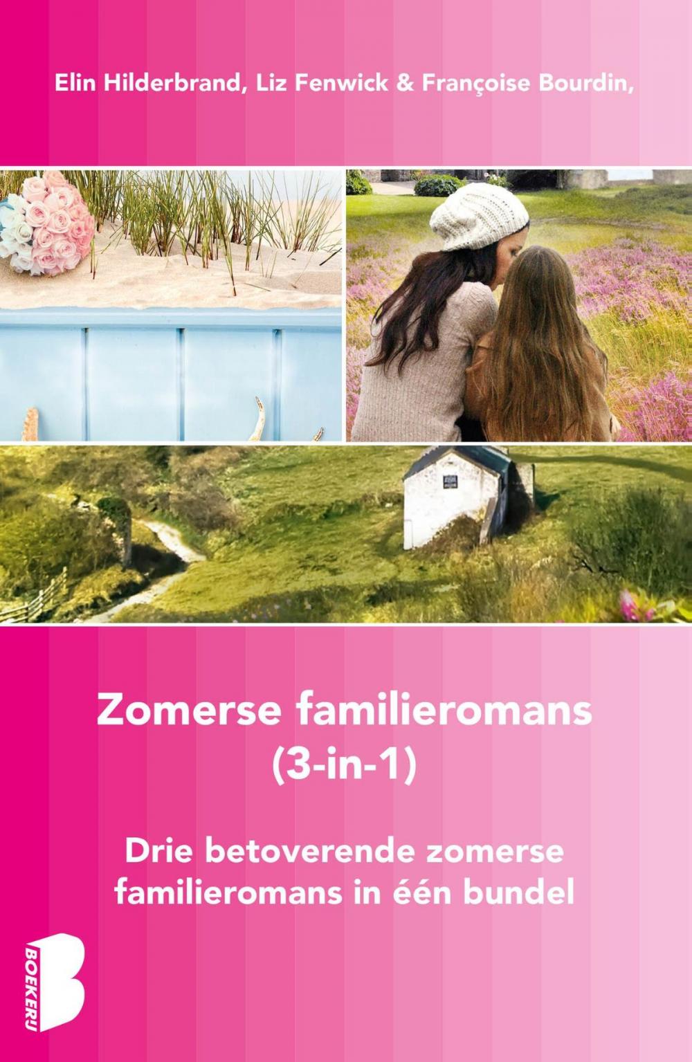 Big bigCover of Zomerse familieromans, 3-in-1-bundel