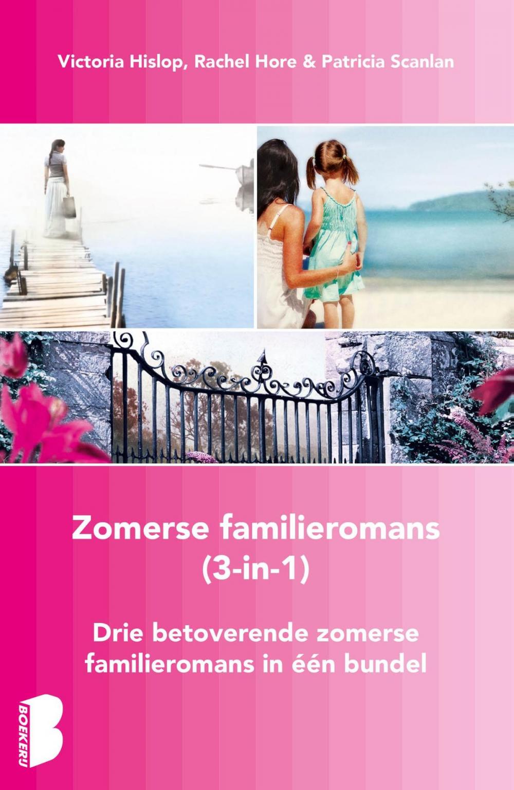 Big bigCover of Zomerse familieromans, 3-in-1-bundel