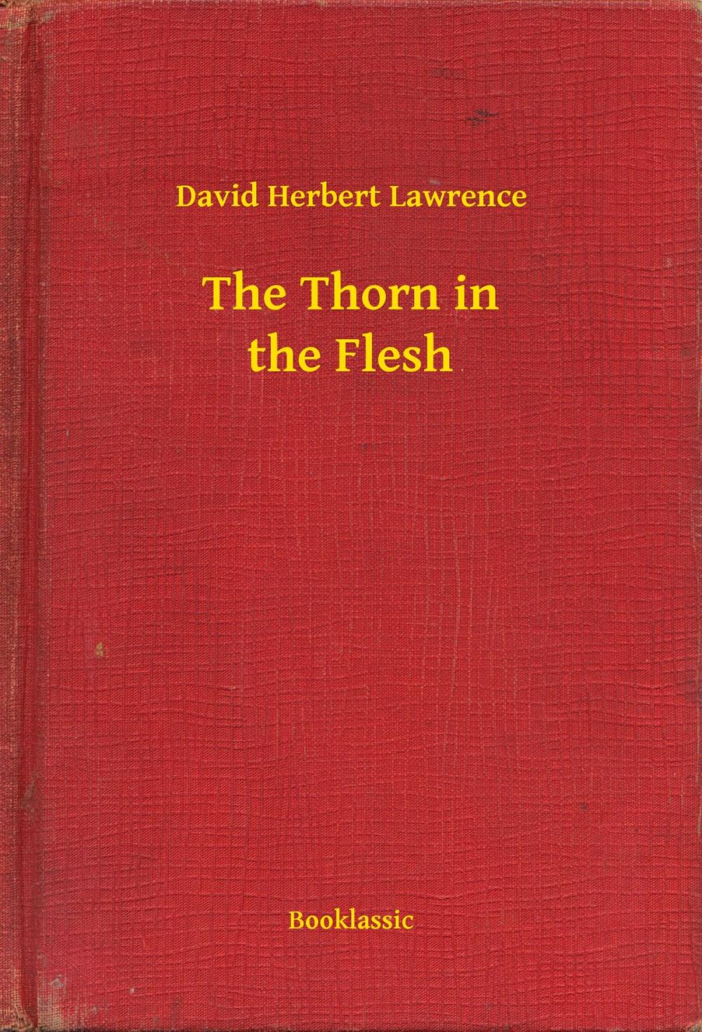 Big bigCover of The Thorn in the Flesh