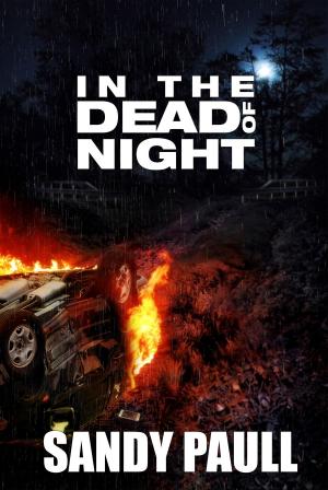 Book cover of In The Dead Of Night